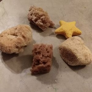 Hermit crab sea sponges. Assists safer drinking.